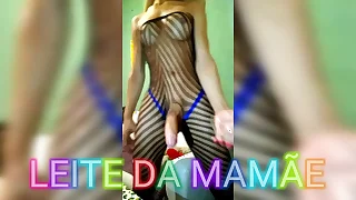 DOTADA SP. Pica jumenta .